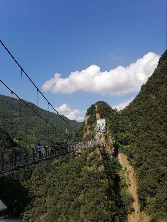 image025.png image025.png