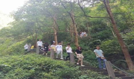 image029.jpg image029.jpg