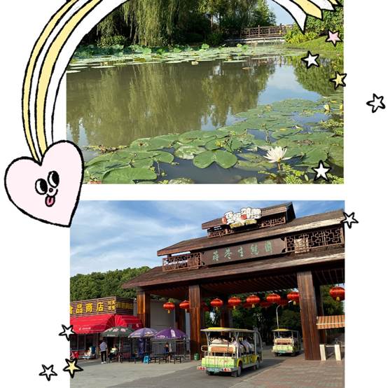 image004.jpg image004.jpg