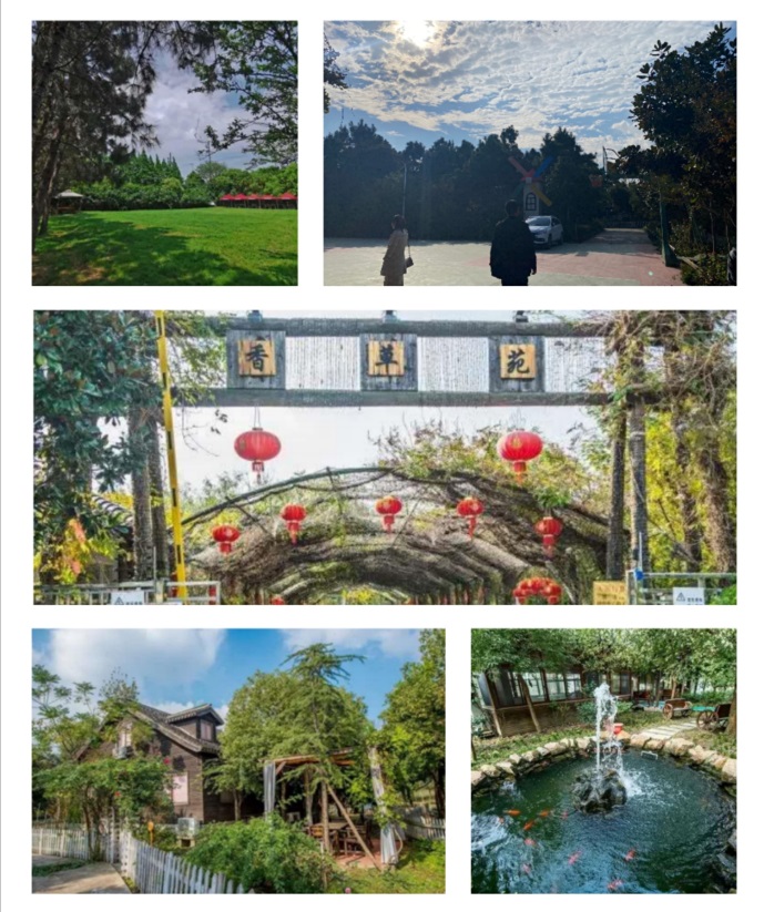 image003.jpg image003.jpg